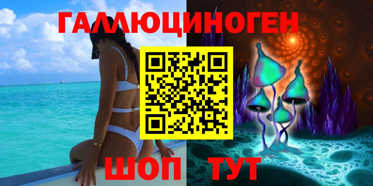 Псилоцибиновые грибы Psilocybe Балтийск