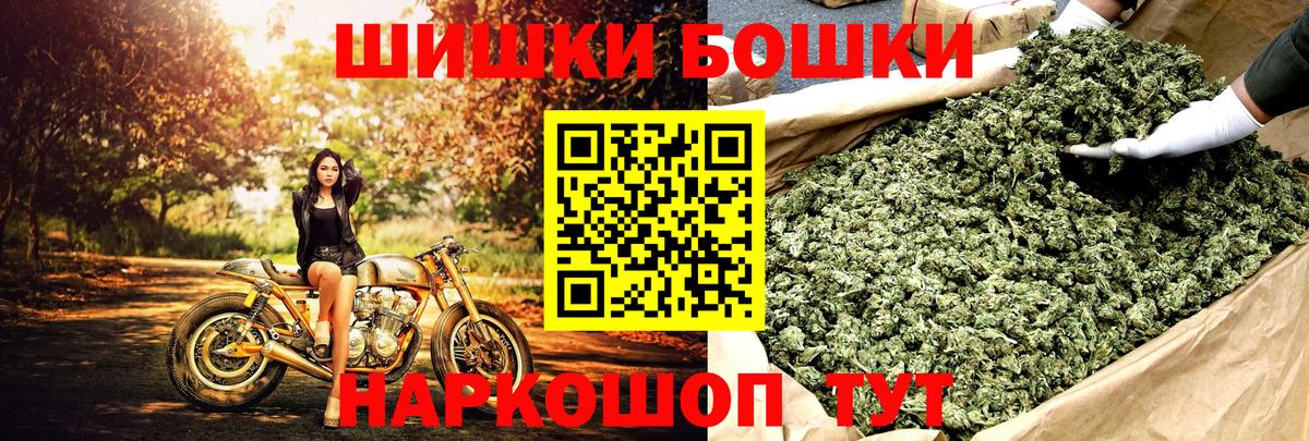 Канабис гибрид Балтийск